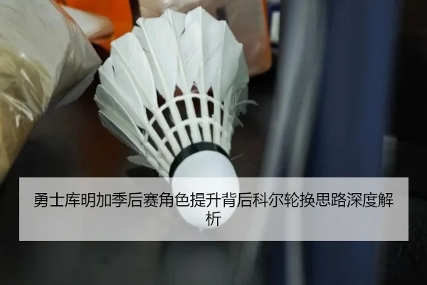勇士库明加季后赛角色提升背后科尔轮换思路深度解析