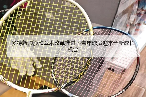 多特新帅沙欣战术改革推进下青年球员迎来全新成长机会